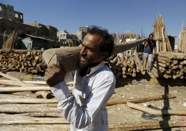 Workers carry a wood pole at a firewood market amid ongoing fuel and cooking gas shortages in Yemen's capital Sanaa, December 2, 2015. (Photo by Khaled Abdullah/Reuters)