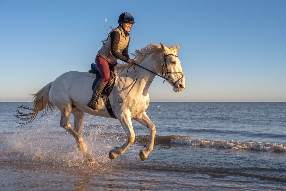 Some Photos: In Motion