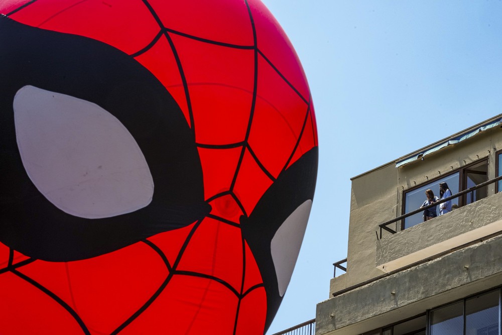 Pictures of the Year 2024, Part 227/2406