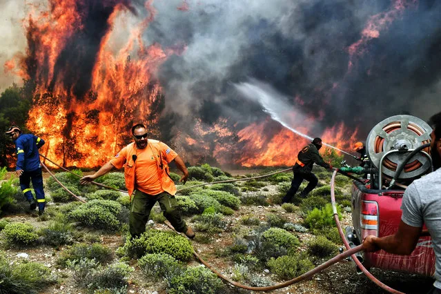 Firefighters and volunteers try to extinguish flames during a wildfire at the village of Kineta, near Athens, on July 24, 2018. Raging wildfires killed 74 people including small children in Greece, devouring homes and forests as terrified residents fled to the sea to escape the flames, authorities said Tuesday. (Photo by Valerie Gache/AFP Photo)