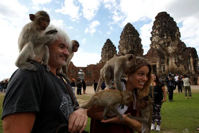 Monkeys climb on tourists during the annual Monkey Buffet Festival at the Phra Prang Sam Yot temple in Lopburi province, north of Bangkok, Thailand November 27, 2016. (Photo by Chaiwat Subprasom/Reuters)