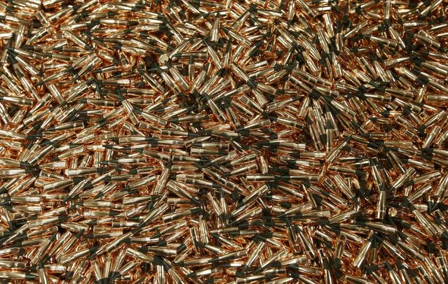 .308 caliber rounds sit in a bin at Barnes Bullets in Mona, Utah, January 6, 2015. (Photo by George Frey/Reuters)