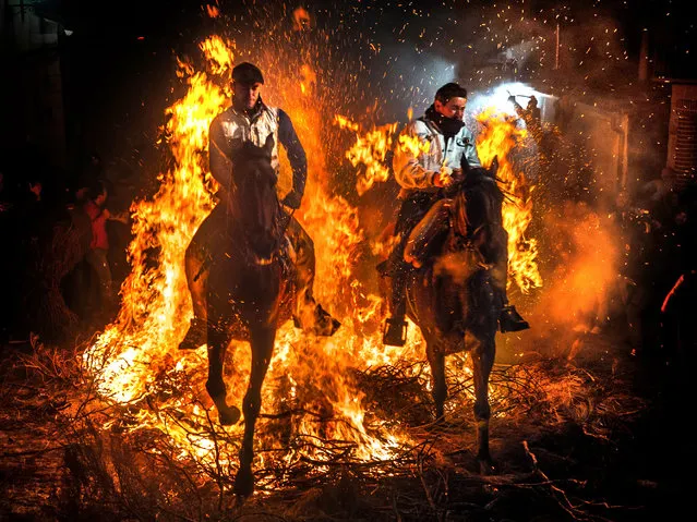 The horses riding through the flames In the town of San Bartolome de Pinares, Spain. (Photo by David Rocaberti/Caters News)