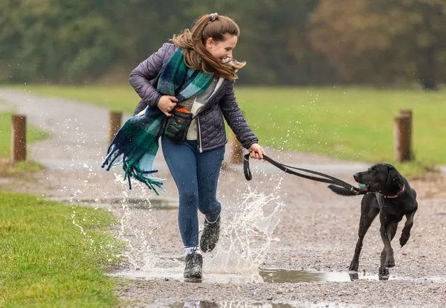 A dog walker on a wet Wimbledon Common in southwest London on October 25, 2023 as Storm Babet continues to cause disruption in parts of the county. More unsettled weather is expected this week with wind and rain forecast. (Photo by Alex Lentati/London News Pictures)