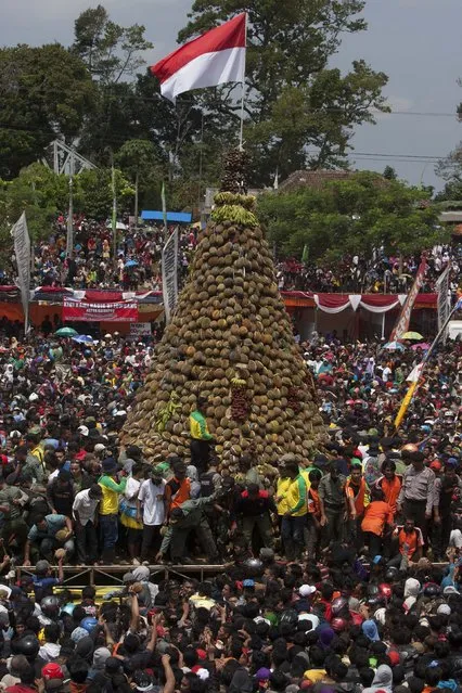 Thousands people attend the festival durian on the northern slopes of Mount Arjuna in East Java. (Photo by Sigit Pamungkas/JG Photo)