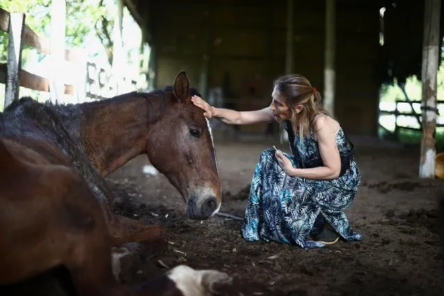 Lorena Melantoni pets a rescued horse at her sanctuary “Let's dream of hope” where mistreated horses that used to pull recycling carts, or were used for sports, have a second chance of life, in La Plata, Buenos Aires, Argentina on December 2, 2023. (Photo by Tomas Cuesta/Reuters)