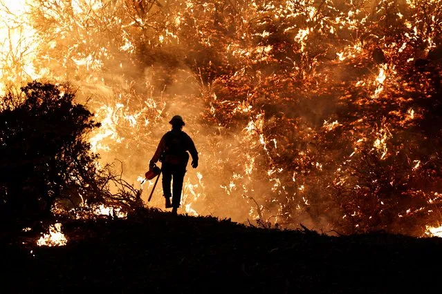 A firefighter works as the Caldor Fire burns in Grizzly Flats, California, U.S., August 22, 2021. (Photo by Fred Greaves/Reuters)