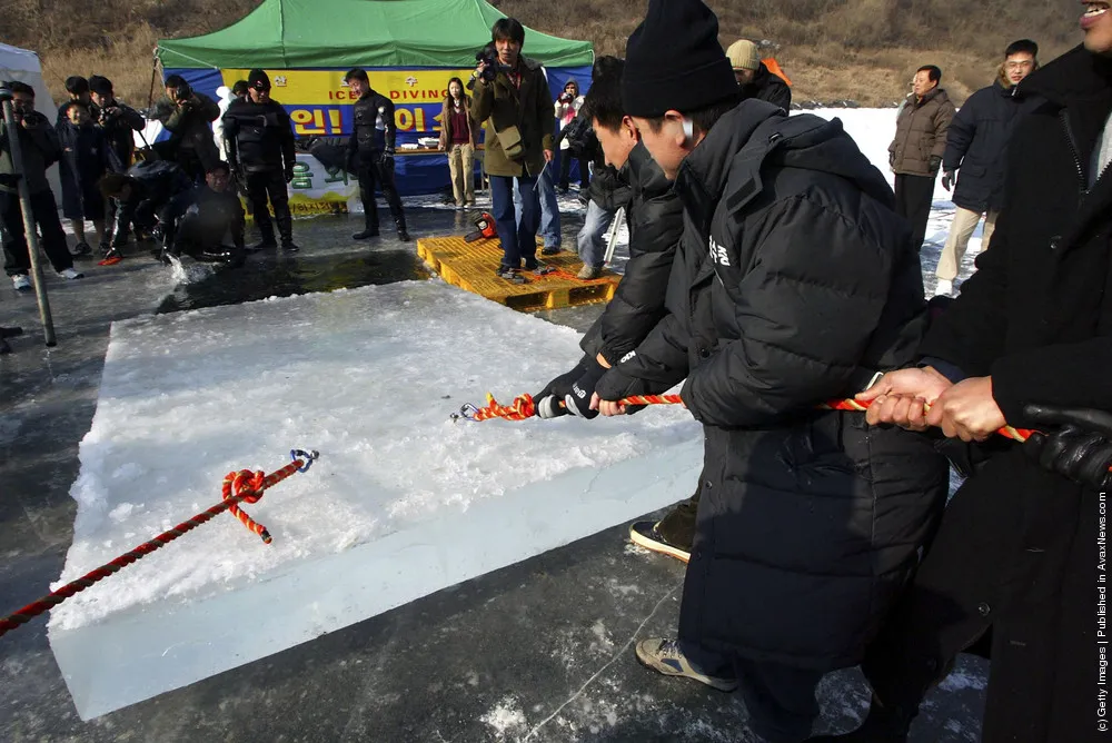 South Koreans Participate In Ice Diving Contest