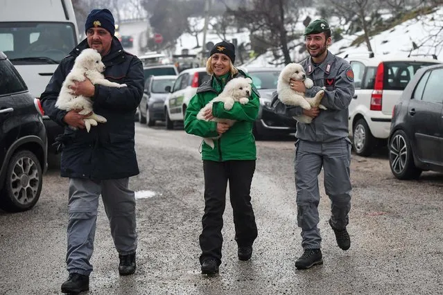 Police officers hold three puppies that were found alive in the rubble of the avalanche-hit Hotel Rigopiano, near Farindola, central Italy, Monday, January 22, 2017. Emergency crews digging into an avalanche-slammed hotel were cheered Monday by the discovery of three puppies who had survived for days under tons of snow, giving them new hope for the 23 people still missing in the disaster. (Photo by Alessandro Di Meo/ANSA via AP Photo)