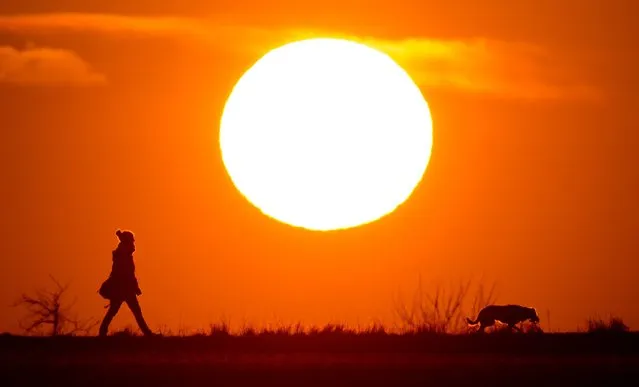 A woman and her dog are silhouetted against the setting sun on a rural road in Hanover, Germany. 29 February 2016. March 01 marks the Beginning of meteorological spring. (Photo by Julian Stratenschulte/EPA)