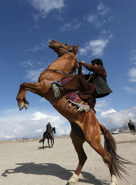 An Afghan man, shows off his horse riding feat to attract people for a ride on Nadir Khan hill in Kabul, Afghanistan, Sunday, March 6, 2016. (Photo by Rahmat Gul/AP Photo)