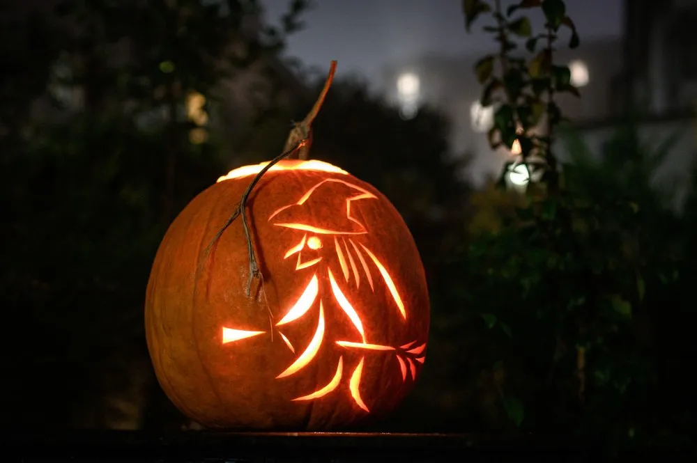 The Day in Photos – November 2, 2021