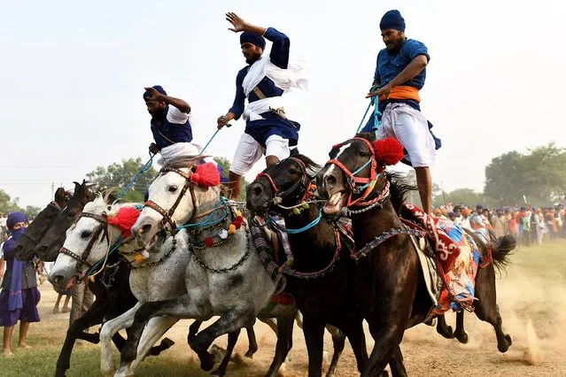 Nihang or Sikh warriors ride horses standing on their backs during a Fateh Divas celebration a day after the Hindu festival Diwali, in Amritsar on November 5, 2021. (Photo by Narinder Nanu/AFP Photo)