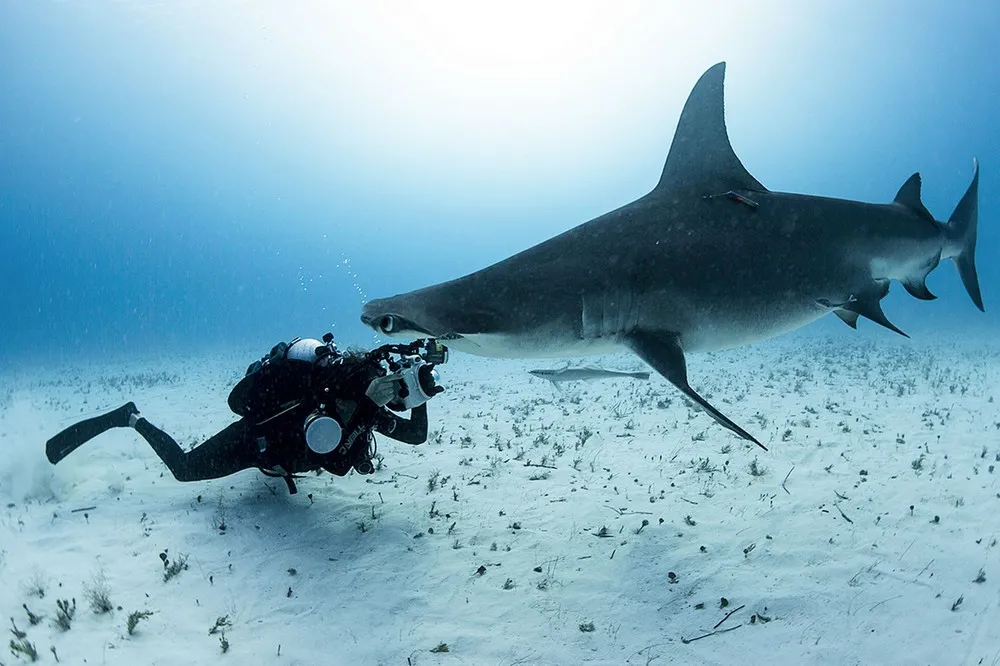 Simply Some Photos: Animals