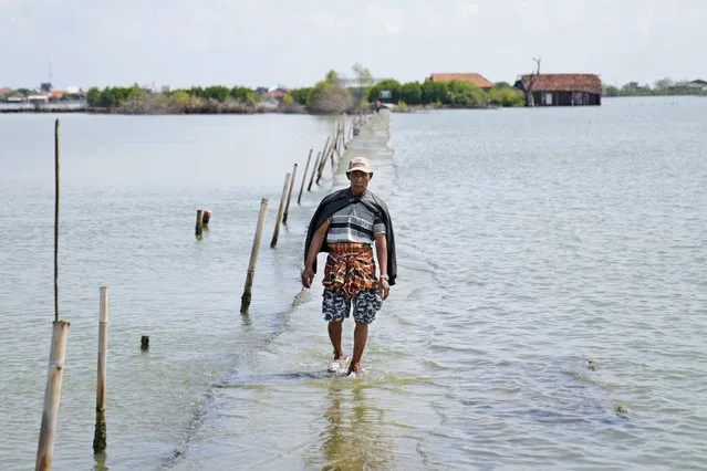 A man walks on a pathway that is partially submerged due to the rising sea levels in the village of Sidogemah, Central Java, Indonesia, Sunday, November 7, 2021. (Photo by Dita Alangkara/AP Photo)