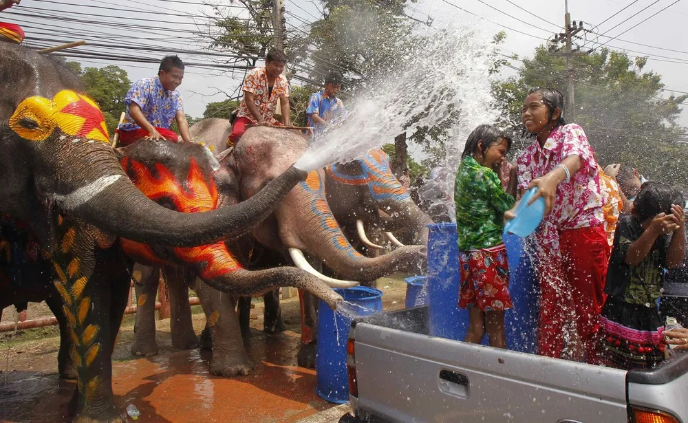 Elephant Water Fight for Songkran Festival in Thailand