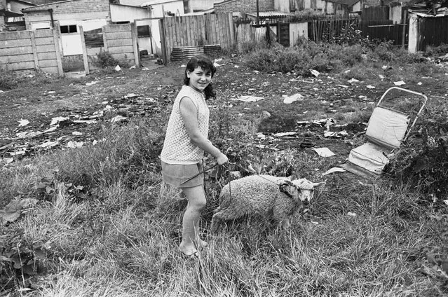 A girl takes her pet sheep for a walk in the East End of London, 1960s. (Photo by Steve Lewis/Getty Images)