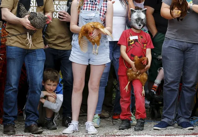 Competitors wait to release their hens during the World Championship Hen Racing Championships in Bonsall, Britain August 1, 2015. (Photo by Darren Staples/Reuters)