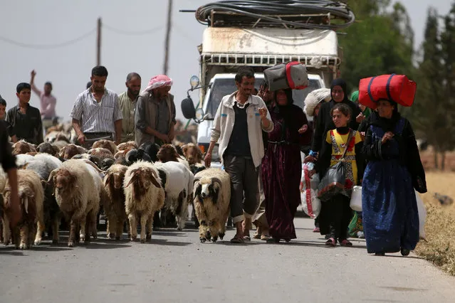 Civilians, who fled the violence in Manbij city, carry their belongings as they walk with their herd of sheep upon their arrival to the southeastern rural area of Manbij, in Aleppo Governorate, Syria June 19, 2016. (Photo by Rodi Said/Reuters)