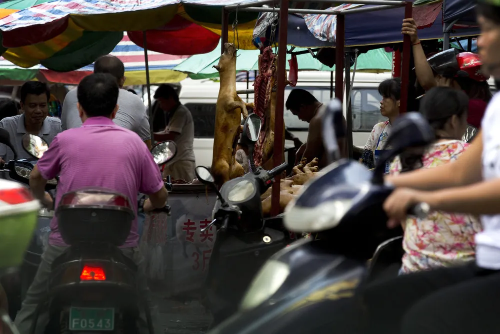 Dog-Meat Eating Festival in China