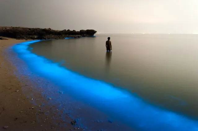 Shortlisted: Pooyan Shadpoor, Houcheraghi. While walking along the shore of Larak, Iran – an island in the Persian Gulf – Shadpoor came across this luminous scene. The “magical lights of (the) plankton ... enchanted me so that I snapped the shot”, he writes. (Photo by Pooyan Shadpoor/2016 EPOTY)