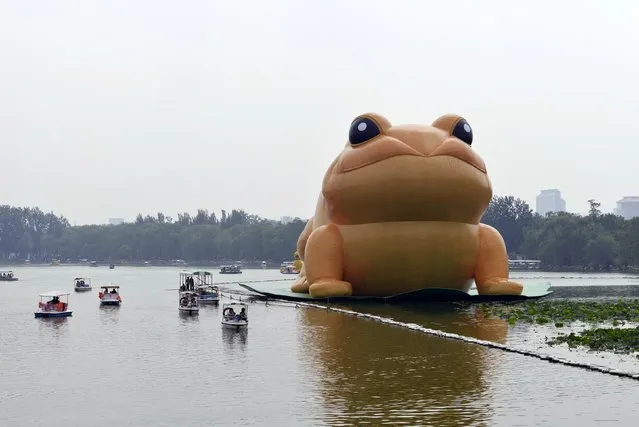 A giant inflatable toad is seen floating on a lake at the Yuyuantan Park in Beijing, July 19, 2014. The “golden toad”, which represents wealth and good fortune in traditional Chinese culture, is 22 metres (72.2 feet) tall and was displayed in the park from Saturday, local media reported. (Photo by Reuters/Stringer)