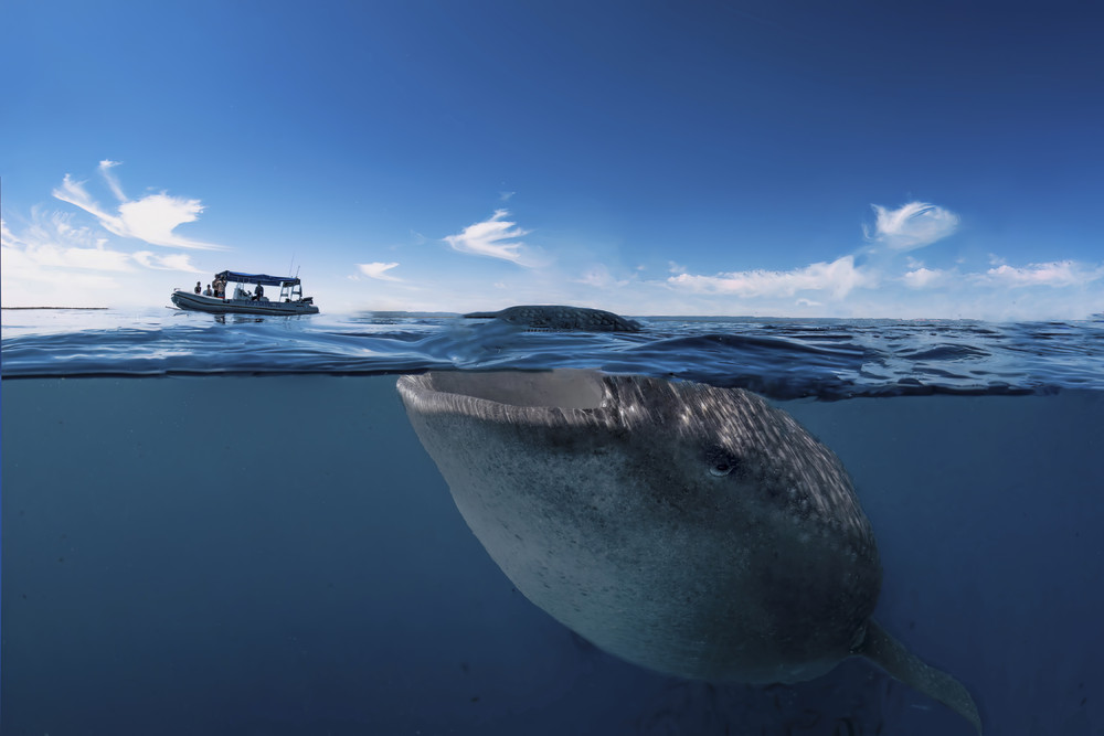 Some Photos: Waterworld