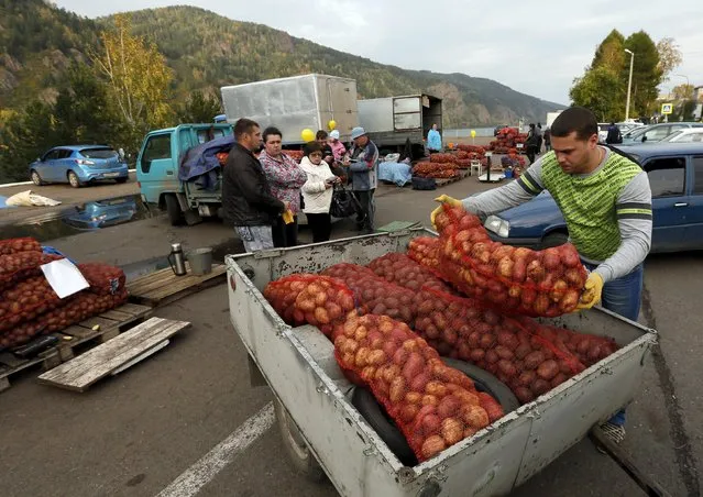 An employee of a local farm loads sacks of potatoes on a customer's trailer at a street market on an embankment of the Yenisei River in the Siberian town of Divnogorsk near Krasnoyarsk, Russia, September 10, 2015. (Photo by Ilya Naymushin/Reuters)