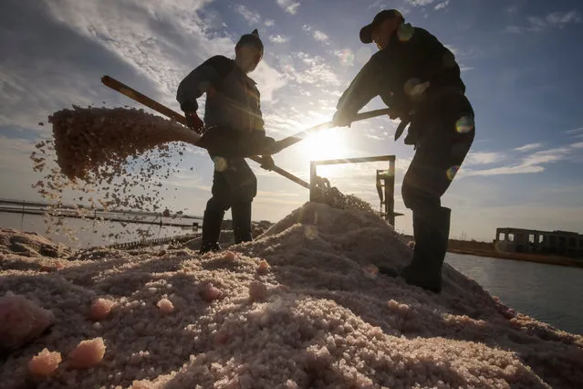 Labourers work at a salt production site at the Sasyk-Sivash lake near the city of Yevpatoria, Crimea, November 14, 2017. (Photo by Pavel Rebrov/Reuters)