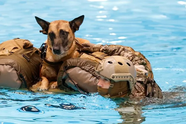 Special forces unit KSK of Germany's army Bundeswehr performs with a dog during training exercises in Calw, Germany on October 24, 2022. (Photo by Heiko Becker/Reuters)