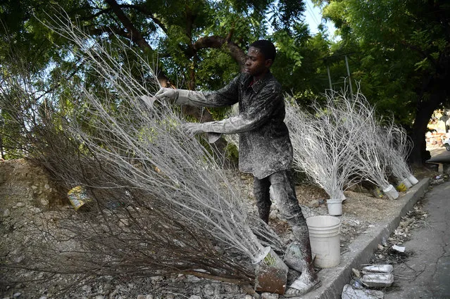 Patrice, 15, paints tree branches with white paint, to sell as Christmas decorations, in Port- au- Prince, Haiti on November 2017. (Photo by Hector Retamal/AFP Photo)