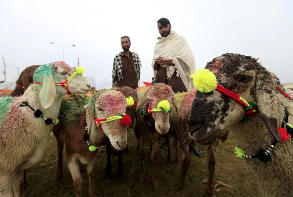 Muslims Across the World are Preparing to Celebrate Eid Al Adha, Part 2