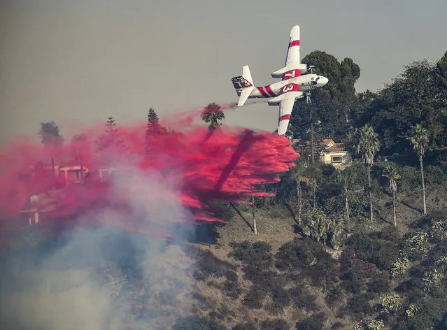 A CalFire plane drops Phos-Chek during the “Skirball Fire” which began early morning in Bel-Air, California on December 6, 2017. An outbreak of several fires North of Los Angeles has occurred as one of the strongest Santa Ana winds forecast of the season is ongoing and expected to last several days. (Photo by John Cetrino/EPA/EFE)