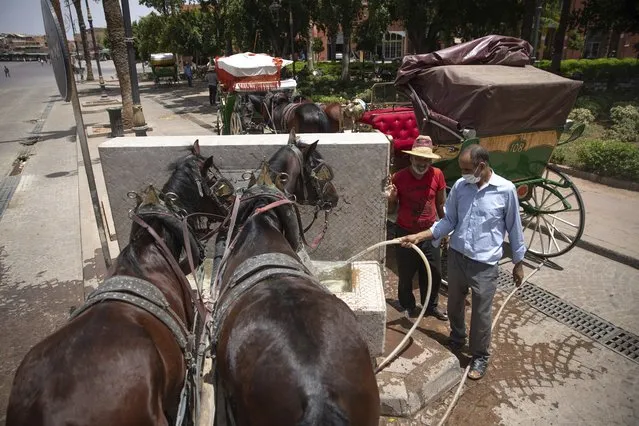 Horse-carriage owners feed their horses at a fountain as they wait for customers on a hot summer day in Marrakech, Morocco, Wednesday, July 22, 2020. (Photo by Mosa'ab Elshamy/AP Photo)