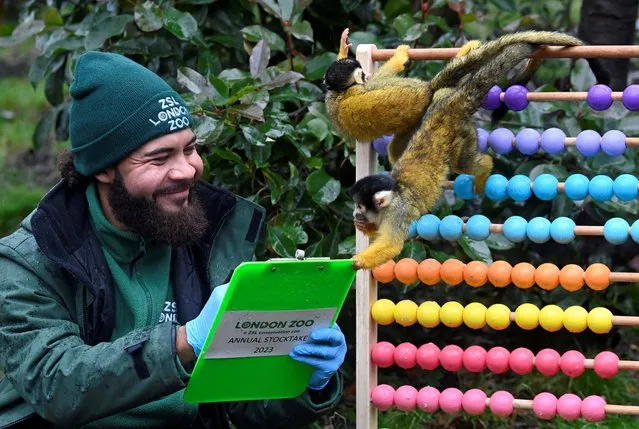 Keeper Andrew Dixon poses with a clipboard amongst squirrel monkeys during the annual stocktake at ZSL London Zoo in London, Britain on January 3, 2023. (Photo by Toby Melville/Reuters)