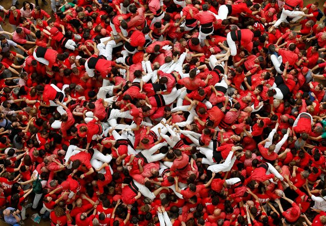 Colla Joves Xiquets de Valls fall down after forming a human tower called “castell” during a biannual competition in Tarragona city, Spain, October 2, 2016. (Photo by Albert Gea/Reuters)