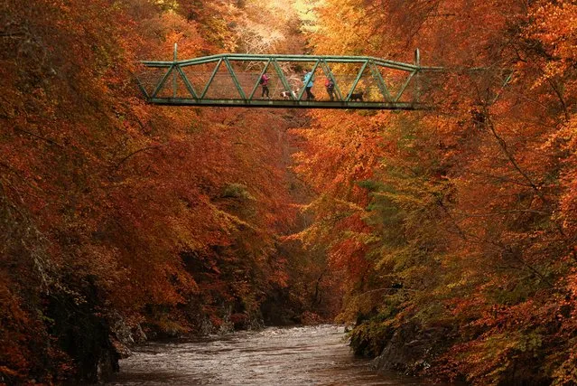 People cross a foot bridge over the River Garry near Pitlochry, Scotland, Britain on October 26, 2022. (Photo by Russell Cheyne/Reuters)