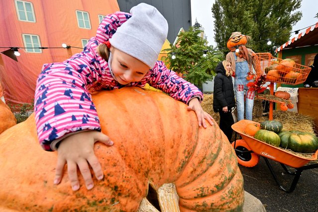 A woman poses as her daughter plays with a huge pumpkin during the festival “Hello, pumpkin” in Kyiv on October 19, 2025, amid Russian invasion in Ukraine. Visitors of the festival could visit a pumpkin museum with descriptions of pumpkin varieties and recipes for cooking with them, and food courts with pumpkin dishes, drinks and desserts, including pumpkin ale, lattes, brownies and pumpkin buns. (Photo by Sergei Supinsky/AFP Photo)