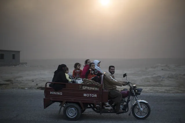 A displaced Iraqi family rides back to their home at the outskirts of Qayara, south of Mosul, Iraq, Thursday, November 3, 2016. (Photo by Felipe Dana/AP Photo)