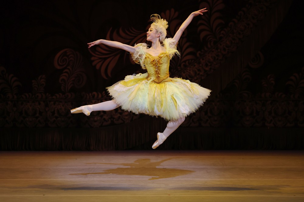 Some Photos: In Motion