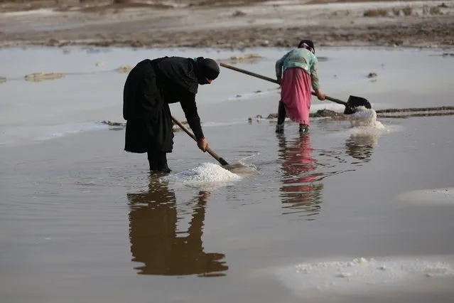 Badria Kadim, left, a 44-year-old Iraqi woman and her daughter Zahra Allawi, 9, collect natural salt to sell on the market near Najaf, 100 miles (160 kilometers) south of Baghdad, Iraq, Tuesday, January 27, 2015. (Photo by Hadi Mizban/AP Photo)