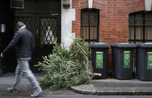 A man passes an abandoned Christmas Tree in London, Britain December 27, 2015. (Photo by Neil Hall/Reuters)