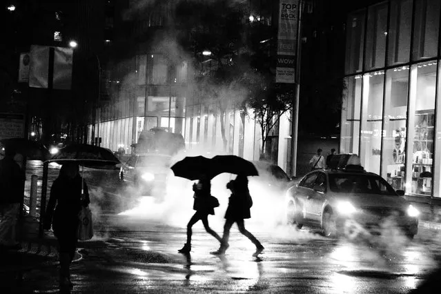 “Rain”. (Photo by Jacque)