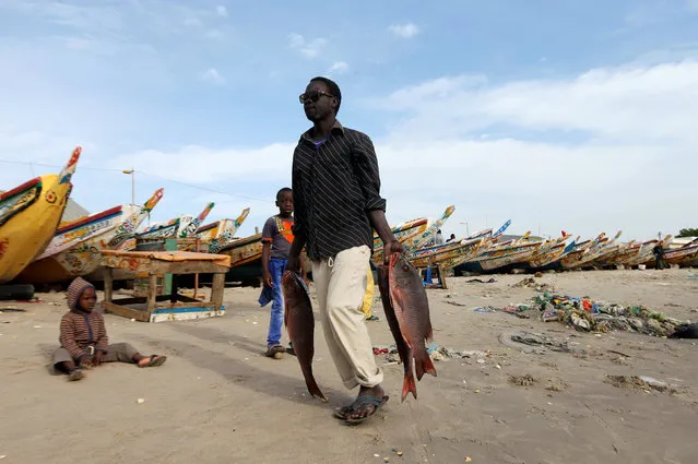 A man carries fish in his hands at the fish market opposite Dakar boat island, Senegal  December 18, 2016. (Photo by Afolabi Sotunde/Reuters)