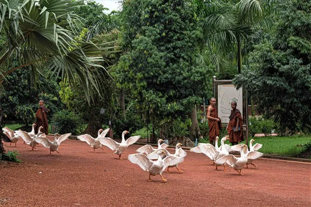 Buddhist novice monks look at geese at a monastery in Yangon on July 13, 2023. (Photo by Sai Aung Main/AFP Photo)