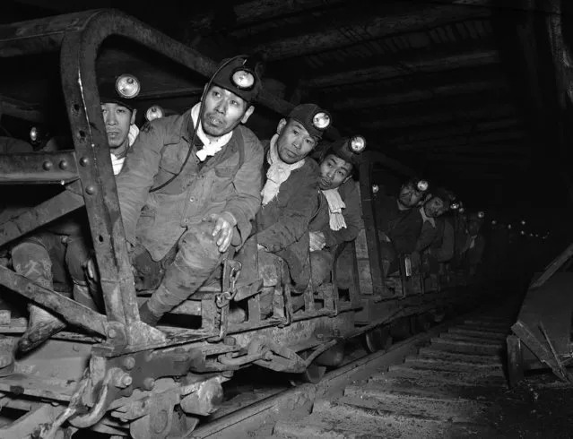 Magotaro Sano, for 30 years a miner working for the Yubari coal mine in Hokkaido, Japan, second from the left, rides with his co-workers on their way to their job, inside the mines on March 21, 1947. (Photo by Charles Gorry/AP Photo)