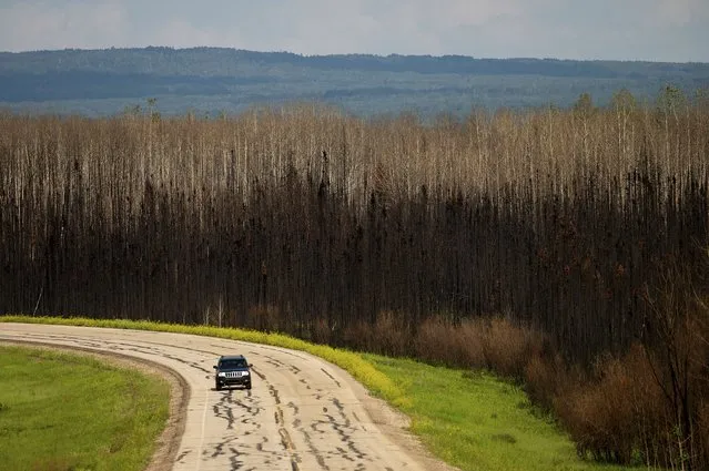 A car drives past scorched trees in the East Prairie Metis Settlement, Alberta, on Tuesday, July 4, 2023. The settlement, whose residents trace their ancestry to European and Indigenous people, lost 14 homes during the May wildfire, according to Chair Raymond Supernault. (Photo by Noah Berger/AP Photo)