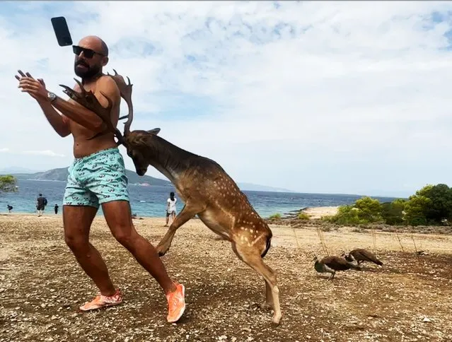 A Mexican tourist ended up with broken ribs after attempting to make the most of a photo opportunity with some deer in October 2023. Gian Carlo Triacca, 42, was on holiday in Greece when he was attacked from behind. His wife, Erika, 40, managed to record the moment the deer charged. (Photo by Gian Carlo Triacca/Caters News Agency)