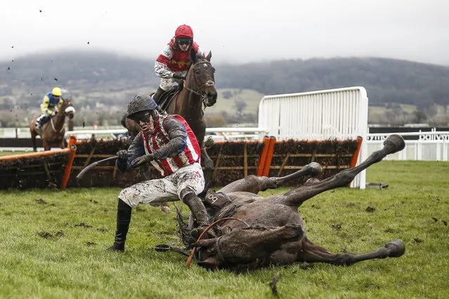 Nick Scholfield falls from De Rasher Counter at the last in The Ballymore Classic Novices' Hurdle Race at Cheltenham racecourse on January 27, 2018 in Cheltenham, England. (Photo by Alan Crowhurst/Getty Images)