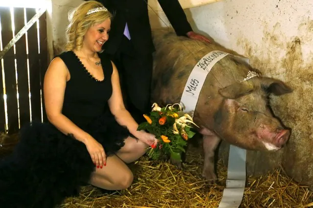 A member of the jury poses with the winner of a beauty contest held for pigs in a farm in Hajmas, south-west Hungary, March 31,2015. (Photo by Laszlo Balogh/Reuters)